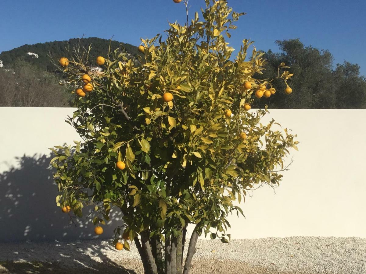 Casita In Javea With Garden And Pool - Dog Friendly! Buitenkant foto